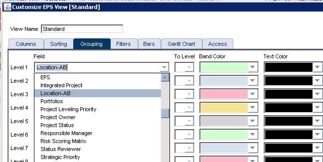 p6 EPS and activity views