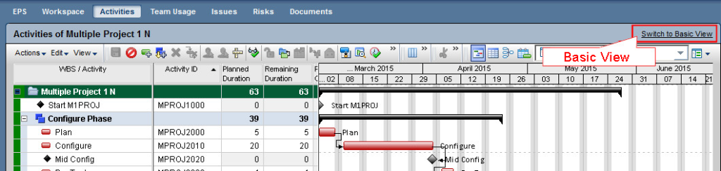 Primavera Gantt Chart