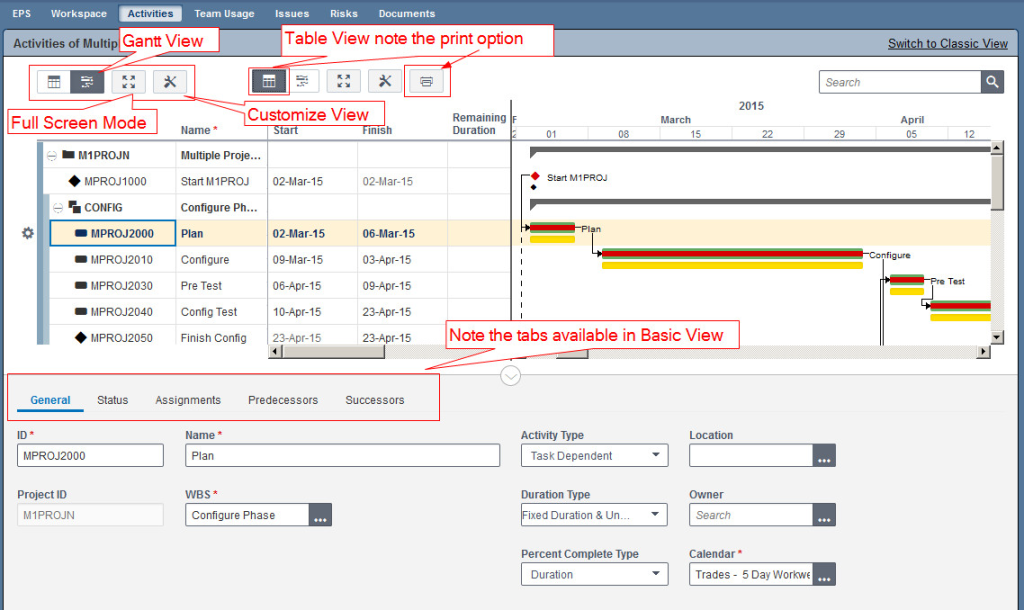 Primavera Gantt Chart