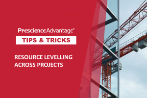 RESOURCE LEVELLING ACROSS PROJECTS